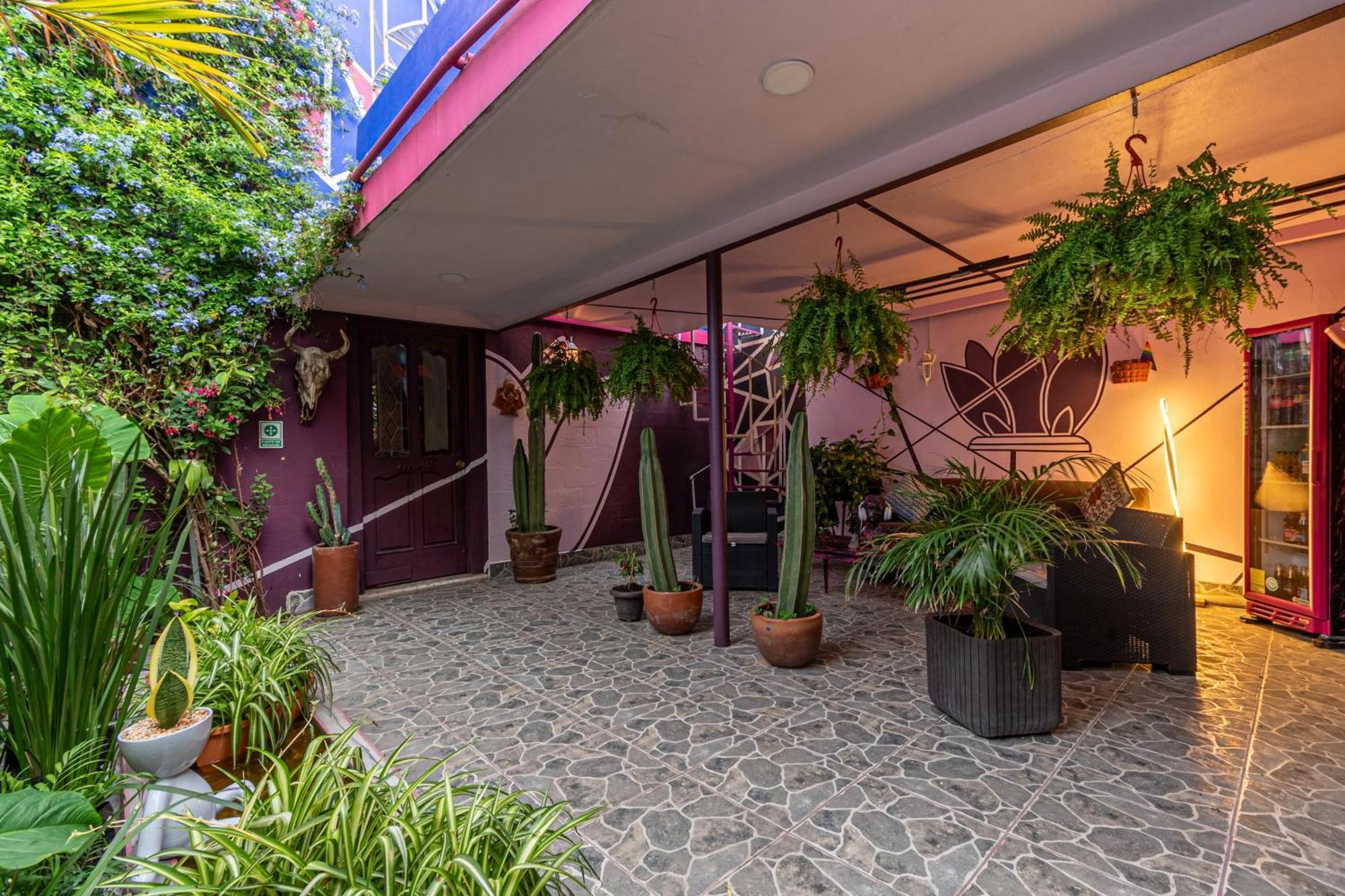 Bugambilia Maison d'hôtes Mexico